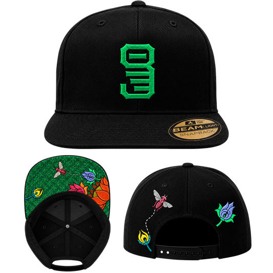 CWA20 Snapback Hat